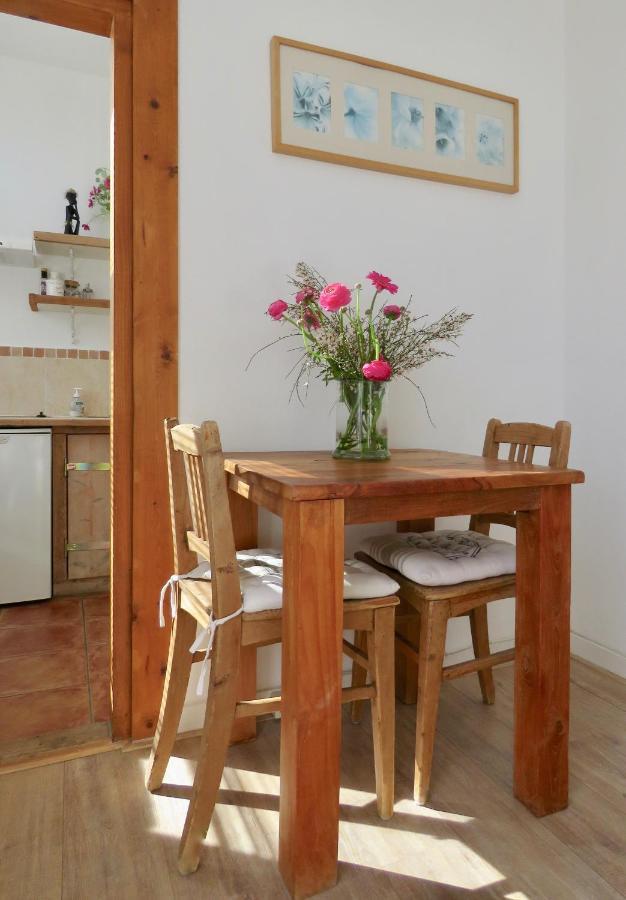 Sea Shell With Balcony Close To The Beach, City Centre And Dunes Zandvoort Luaran gambar